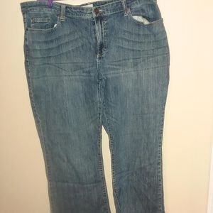 Maurices Plus Size Jeans - 24Reg